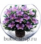 Композиция в вакууме из живых цветов. Орхидеи. Композиция из живых цветов сохраняет свой естественный облик в течение пяти-семи лет