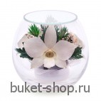 Композиция в вакууме из живых цветов. Орхидеи. Композиция из живых цветов сохраняет свой естественный облик в течение пяти-семи лет