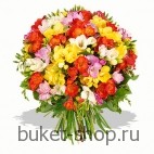 Роскошь. Фрезия. Удивительный букет из 101 фрезии