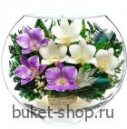 Композиция в вакууме из живых цветов. Орхидея. Композиция из живых цветов сохраняет свой естественный облик в течение пяти-семи лет