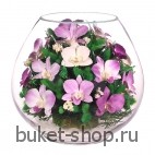 Композиция в вакууме из живых цветов. Орхидеи. Композиция из живых цветов сохраняет свой естественный облик в течение пяти-семи лет