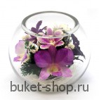 Композиция в вакууме из живых цветов. Орхидеи. Композиция из живых цветов сохраняет свой естественный облик в течение пяти-семи лет