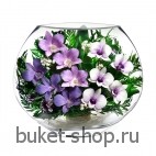 Орхидеи. .