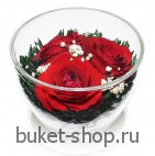 Розы. .