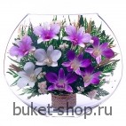 Композиция в вакууме из живых цветов. Орхидеи. Композиция из живых цветов сохраняет свой естественный облик в течение пяти-семи лет