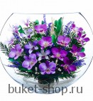 Композиция в вакууме из живых цветов. Орхидеи. Композиция из живых цветов сохраняет свой естественный облик в течение пяти-семи лет