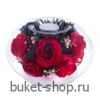 Композиция в вакууме из живых цветов. Розы. Композиция из живых цветов сохраняет свой естественный облик в течение пяти-семи лет