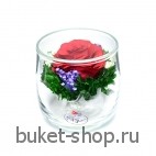 Композиция в вакууме из живых цветов. Розы. Композиция из живых цветов сохраняет свой естественный облик в течение пяти-семи лет