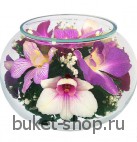 Композиция в вакууме из живых цветов (является подсвечником). Орхидеи. Композиция из живых цветов сохраняет свой естественный облик в течение пяти-семи лет
