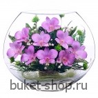 Композиция в вакууме из живых цветов. Орхидеи. Композиция из живых цветов сохраняет свой естественный облик в течение пяти-семи лет
