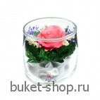 Розовая роза. .