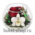Розы, Орхидеи. .