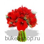 Ромео. Амариллис. Элегантный красочный букет из 7 амариллисов и зелени.