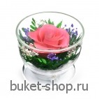Розы. .