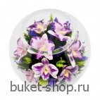 Орхидеи. .
