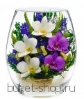 Композиция в вакууме из живых цветов. Орхидеи. Композиция из живых цветов сохраняет свой естественный облик в течение пяти-семи лет