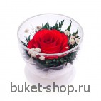 Красная роза. .