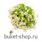Букет невесты №93. Ромашки, Сантини. Милый букет невесты из полевых цветов.