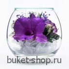 Композиция в вакууме из живых цветов . Орхидеи . Композиция из живых цветов сохраняет свой естественный облик в течение пяти-семи лет