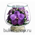 Композиция в вакууме из живых цветов. Орхидеи. Композиция из живых цветов сохраняет свой естественный облик в течение пяти-семи лет