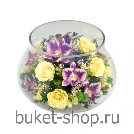 ���������� � ������� �� ����� ������. �������. ���������� �� ����� ������ ��������� ���� ������������ ����� � ������� ����-���� ���
