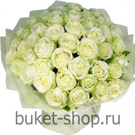 51 ���� �������. ���� �������. �������� ����� �� 51 ���� �������