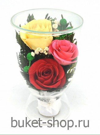  ���������� � ������� �� ����� ������. ����. ���������� �� ����� ������ ��������� ���� ������������ ����� � ������� ����-���� ���