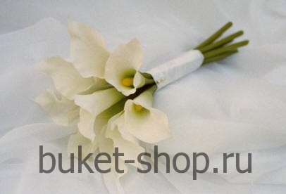 ����� ������� � 14. �����. ����� �������� �� 9 ������� ����
