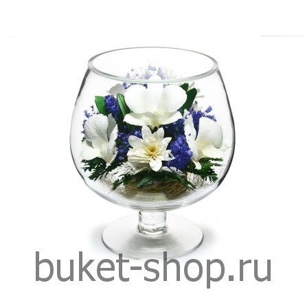 ����, �������. . 