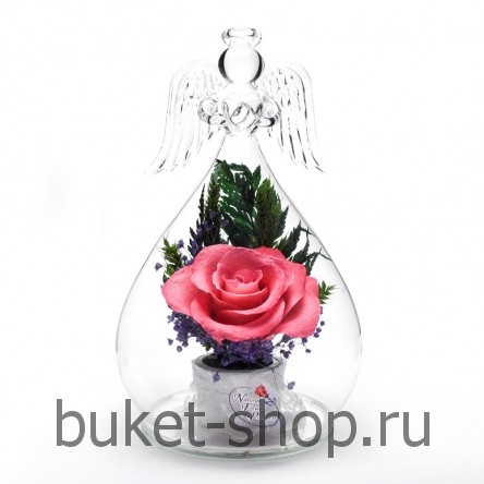 ���������� � ������� �� ����� ������. ����. ���������� �� ����� ������ ��������� ���� ������������ ����� � ������� ����-���� ���