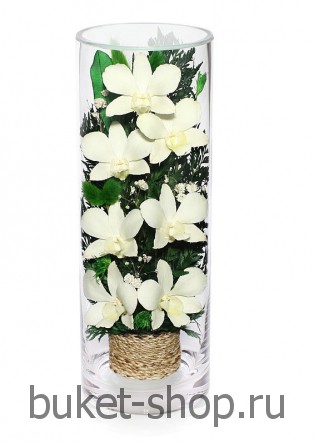 �������. . 