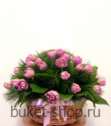 ������� ��������� ���������. �������� 49 ��, �����, �����.. ��������� �������� ������������ �����. �������� ������������� ����� � �������� ������.  �������� ������� ������� �� ���� ��������, ���� ����������, 8 �����