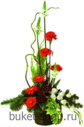 ��������� ��������. �������,��������. 