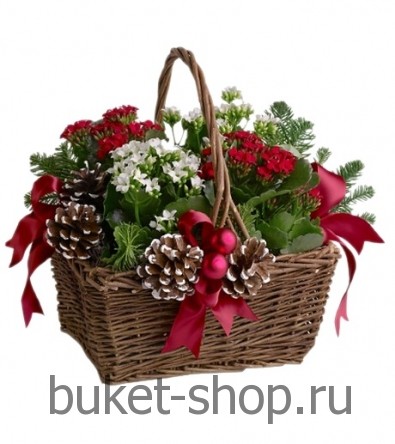 ���������� ���������� �34.  �������� ��������, �����, ���. �������� �������� - 4 ��.