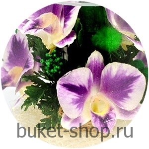 ���������� � ������� �� ����� ������. �������. ���������� �� ����� ������ ��������� ���� ������������ ����� � ������� ����-���� ���