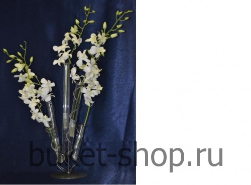 ���� ��� ������. ������, ������. ����� ������������ ��� ����� � ��������������,��� � ���������� ���������� ������������ ����� � ������������ ������� !!! 