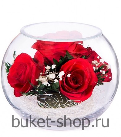 ���������� � ������� �� ����� ������. ����. ���������� �� ����� ������ ��������� ���� ������������ ����� � ������� ����-���� ���