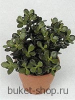 ��������. . 