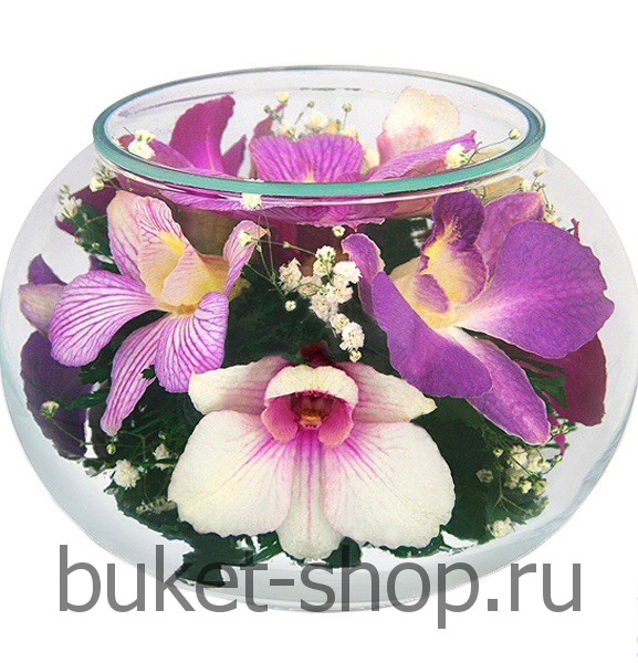 �������(����������). . �������� ������ BUKET-SHOP.RU
