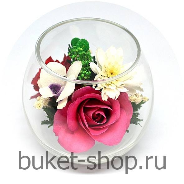 ����, �������. . �������� ������ BUKET-SHOP.RU