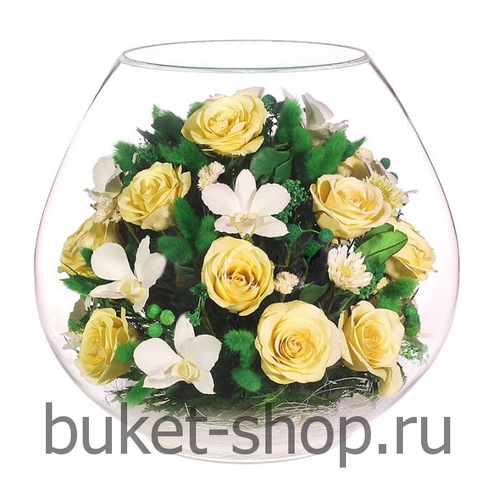       . , .   BUKET-SHOP.RU