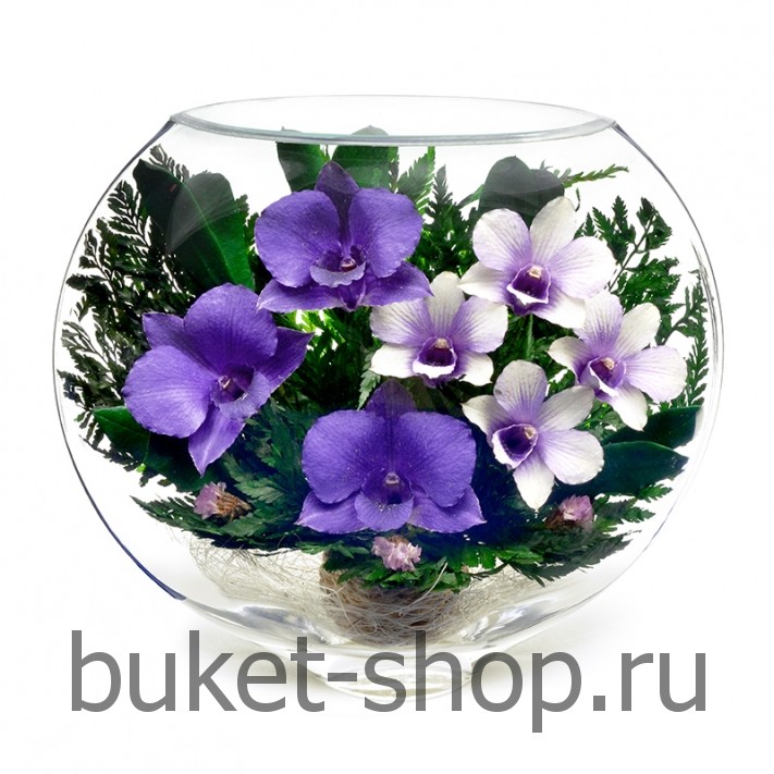 . .   BUKET-SHOP.RU