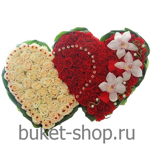   120 . , , .   BUKET-SHOP.RU