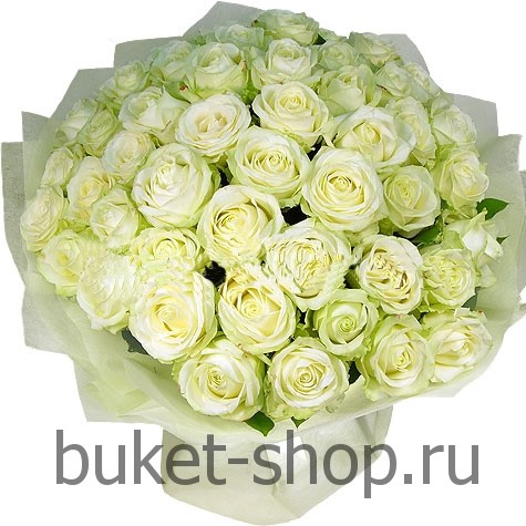 51 ���� �������. ���� �������. �������� ������ BUKET-SHOP.RU