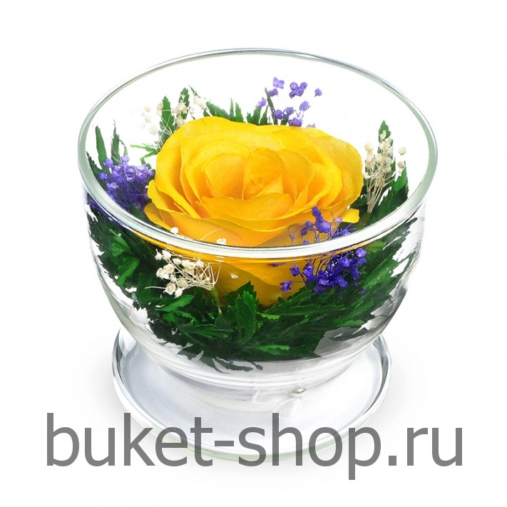      . .   BUKET-SHOP.RU