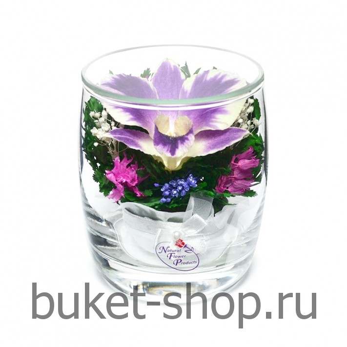      .  .   BUKET-SHOP.RU