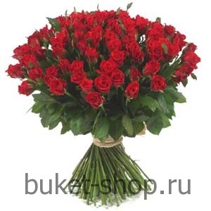 101  . .   BUKET-SHOP.RU