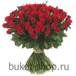 101  . .   BUKET-SHOP.RU