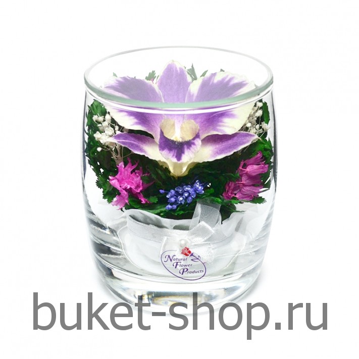 �������. . �������� ������ BUKET-SHOP.RU