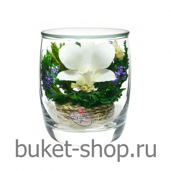 �������. . �������� ������ BUKET-SHOP.RU